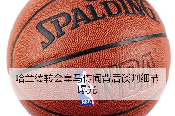 哈兰德转会皇马传闻背后谈判细节曝光